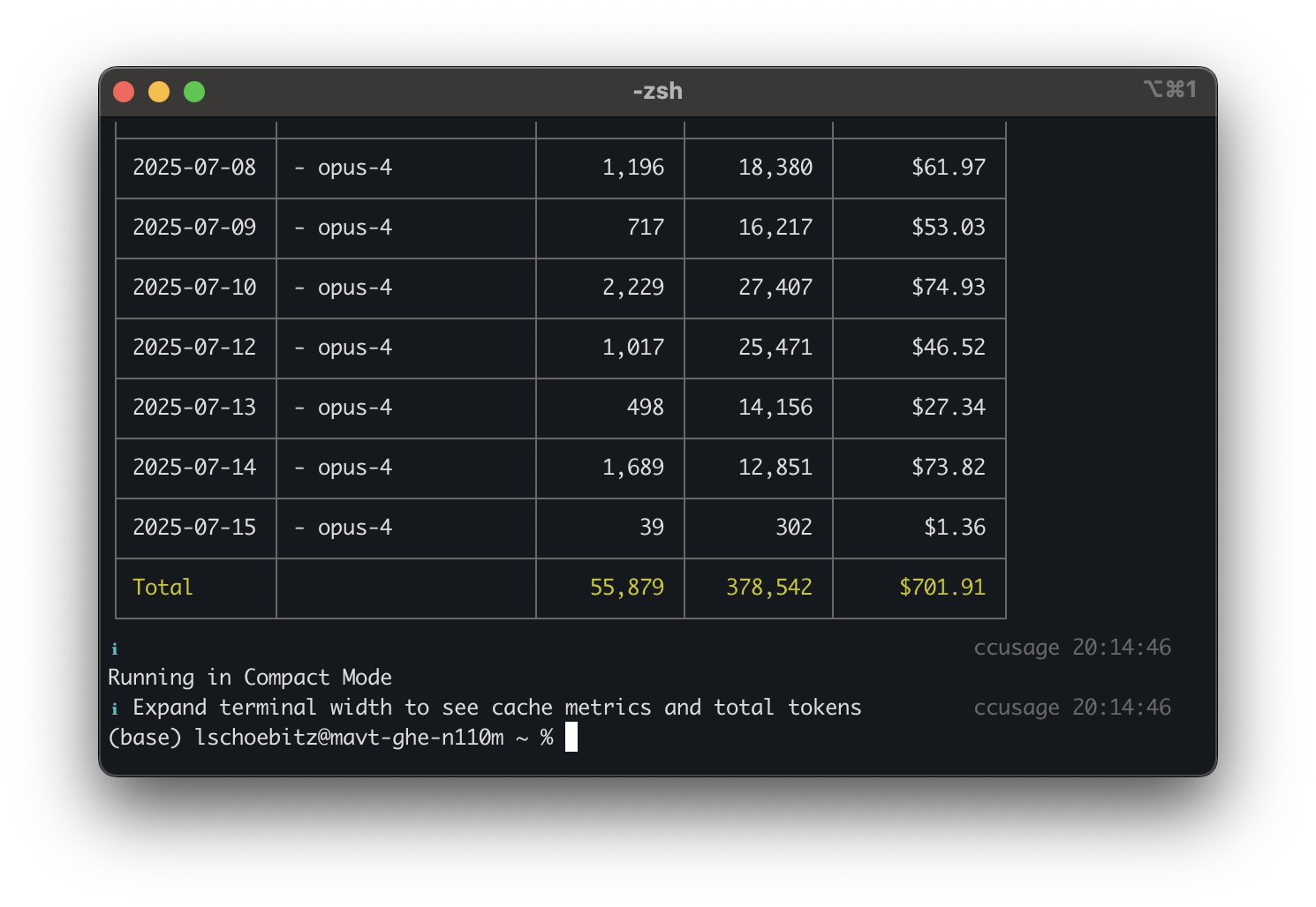 Screenshot of ccusage showing token usage statistics